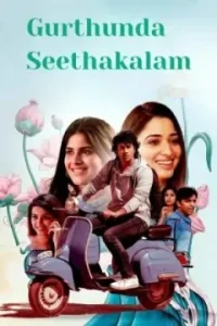 Gurthunda Seethakalam 2022 Hindi + Telugu South Movie Vegamovies